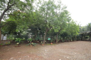 Botanical 1