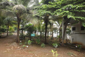Botanical 5