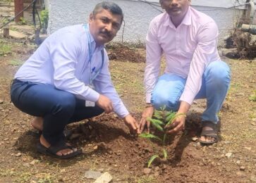 Tree Planatation